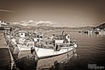 Tolo-027