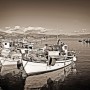 Tolo-027