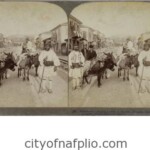 Βοσκοί πηγαίνουν πρόβατα στην αγορά του Ναυπλίου. Ναύπλιο, γύρω στα 1897 Underwood & Underwood